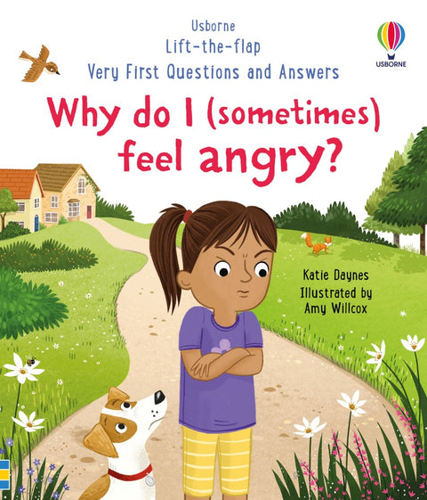 Why do I (Sometimes) Feel Angry?